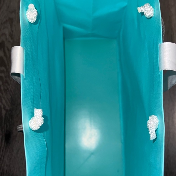 Tiffany and Company Empty Shopping Tote/Gift Bag🩵 - Picture 6 of 9